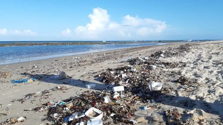 Praia poluída com lixo e resíduos acumulados na areia